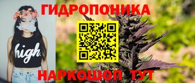 PSILOCYBIN Тула