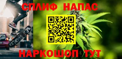 прущие грибы Туймазы