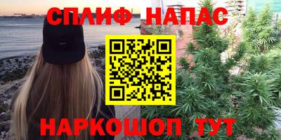 гидра Тулун