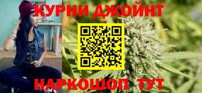гидра Тулун