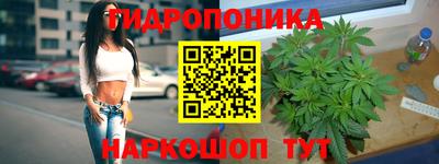 PSILOCYBIN Тула
