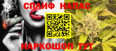 гидра Тулун